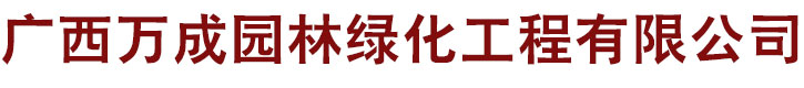 广西万成bb狼堡亚太工程有限公司