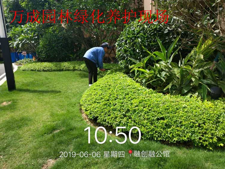 万成bb狼堡亚太贝博app官方下载现场